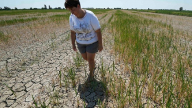 Власти Франции начали борьбу с последствиями засухи